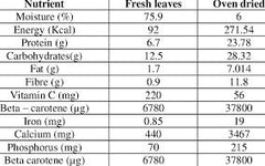 Moringa Leafs Powder (100gm)
