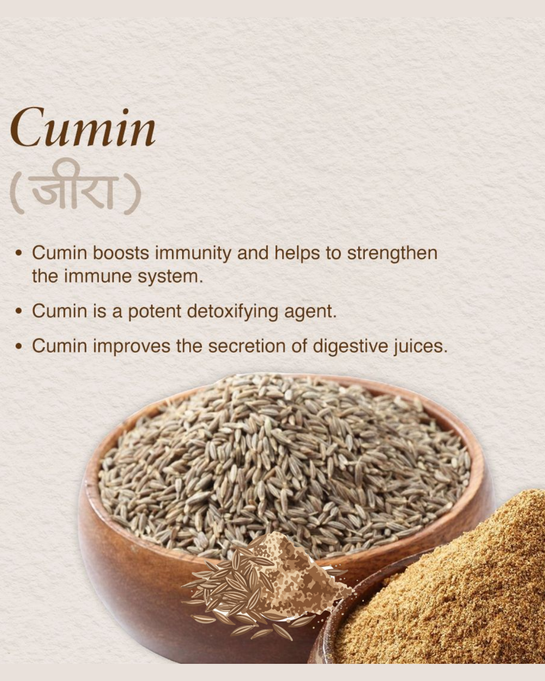 Cumin Seeds Powder Bottle 100 gm