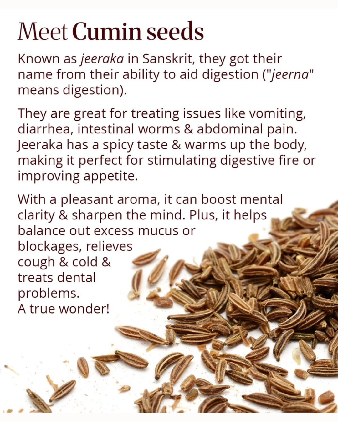 Cumin Seeds Powder Bottle 100 gm