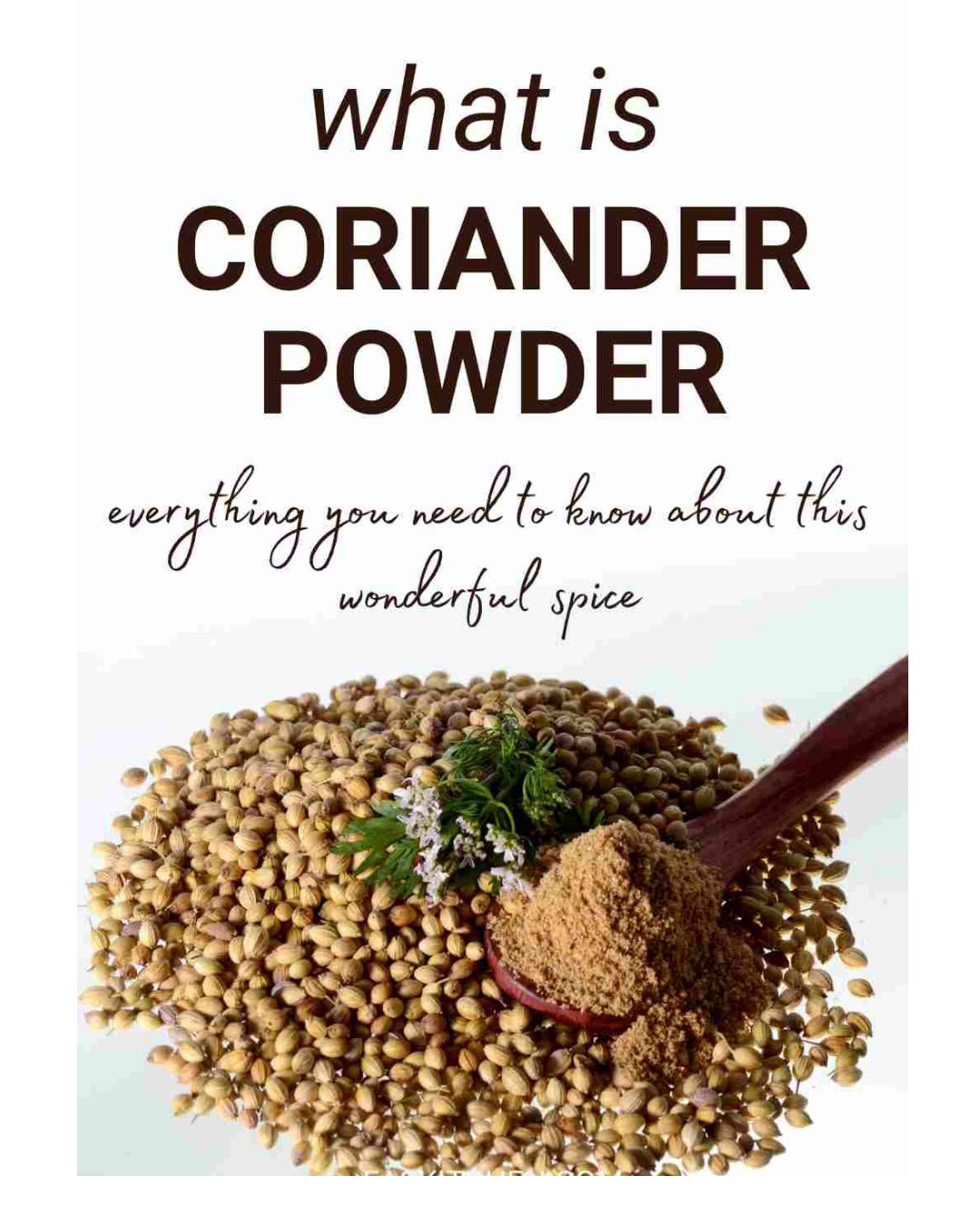 Green Cardamom Whole