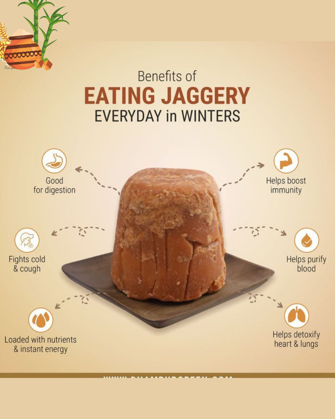 Jaggery (Gur)