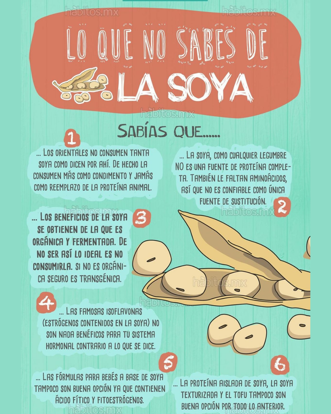 Soyabean Atta(Soyabean Flour)