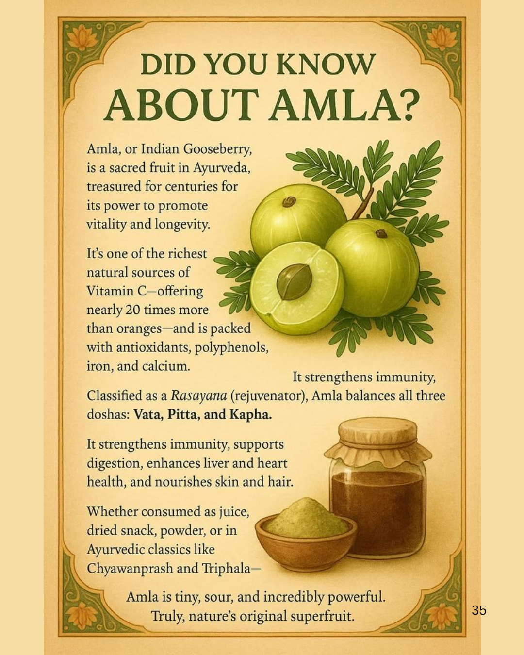 Amla Powder