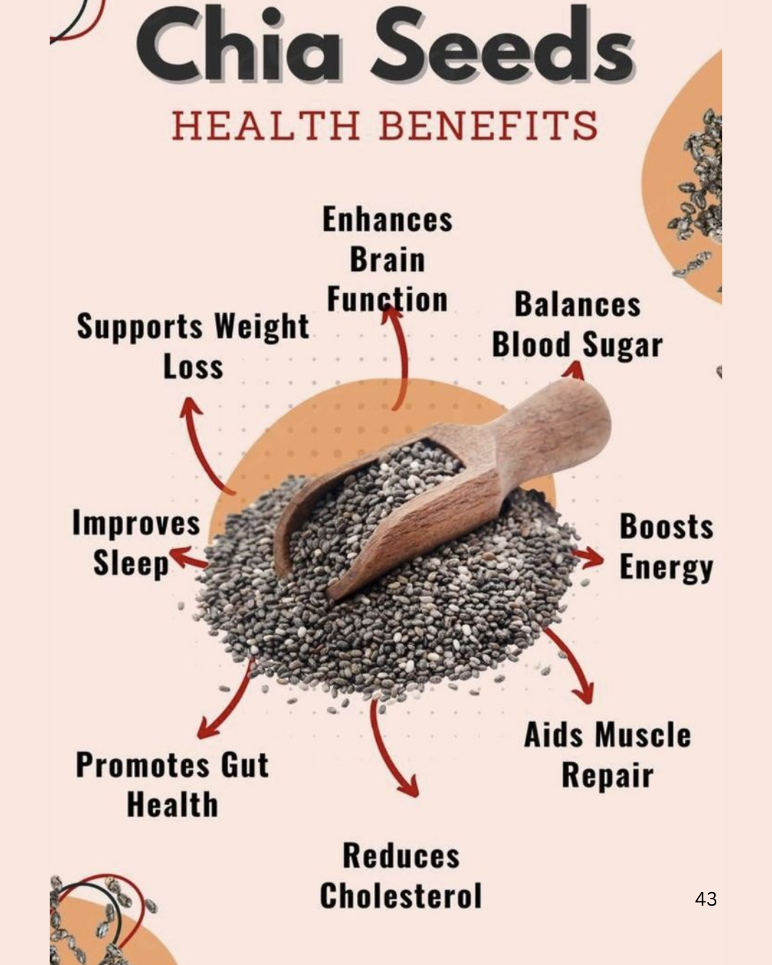 Chia Seeds A Grade (100gm)