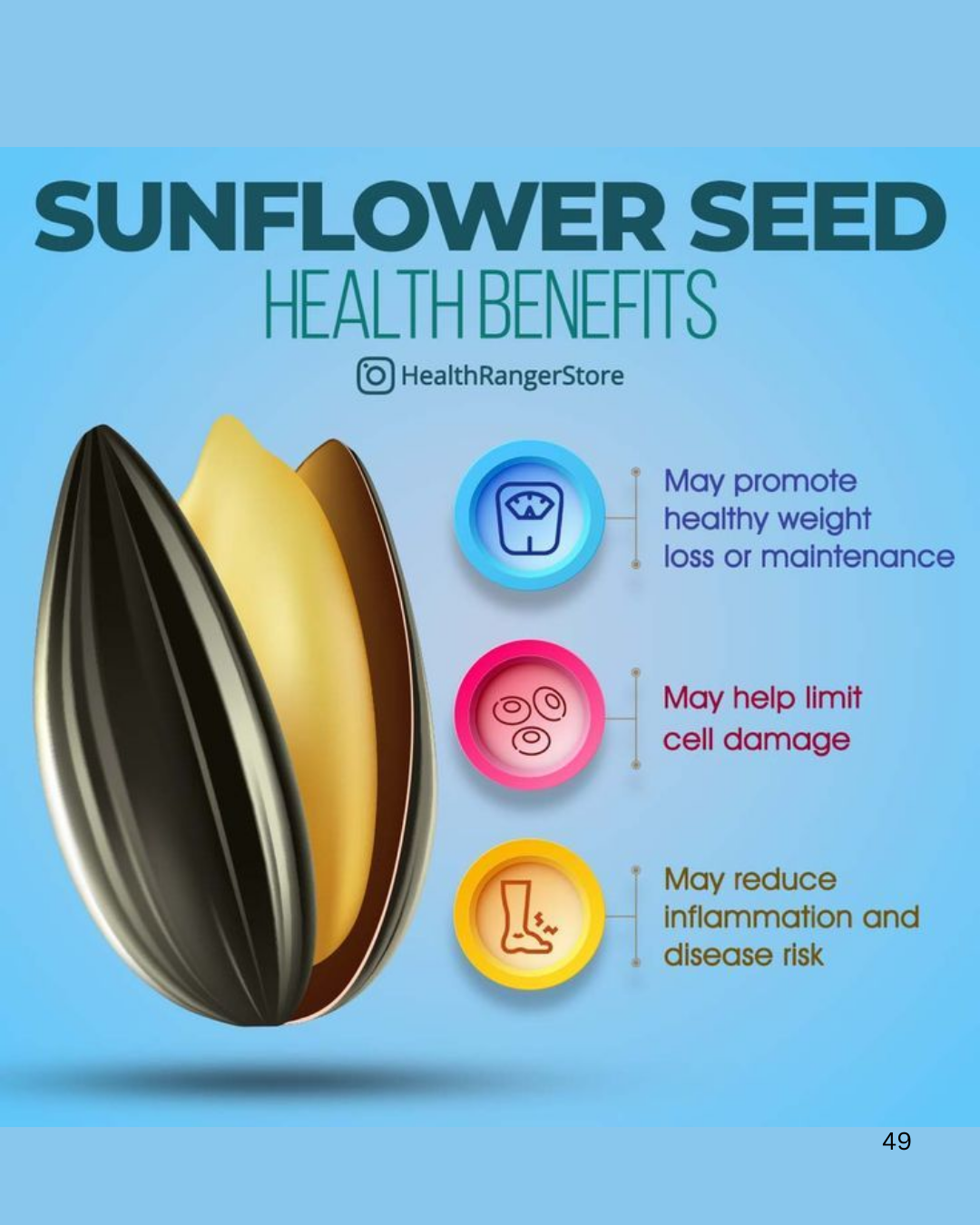 Sunflower Seeds A Grade (100gm)