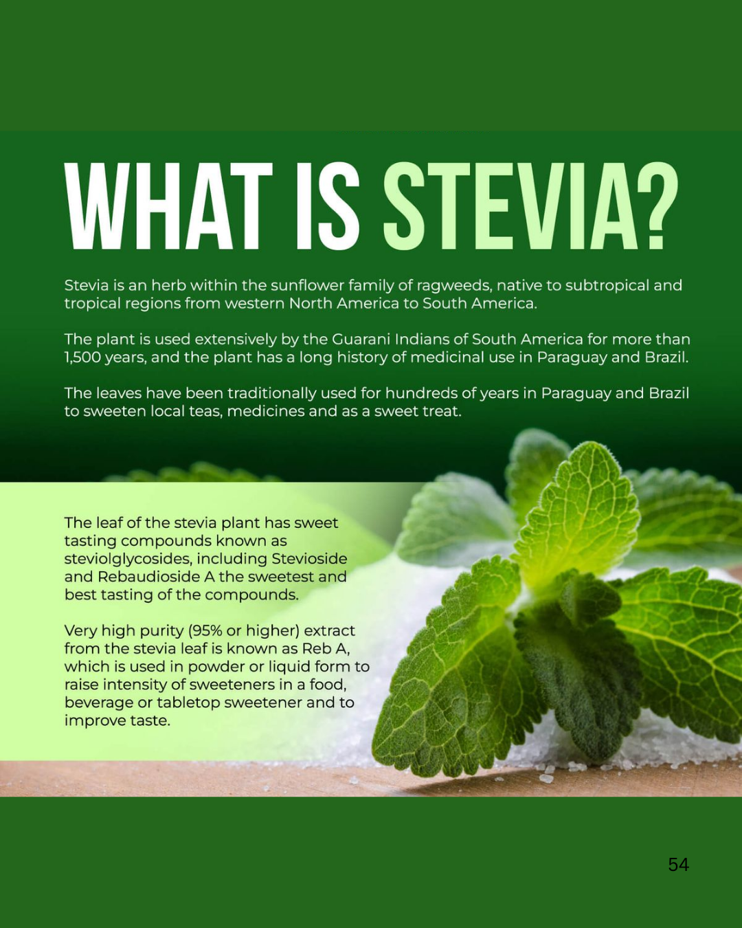 Stevia Leaves