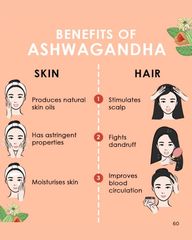 Ashwagandha Powder (100 gm)