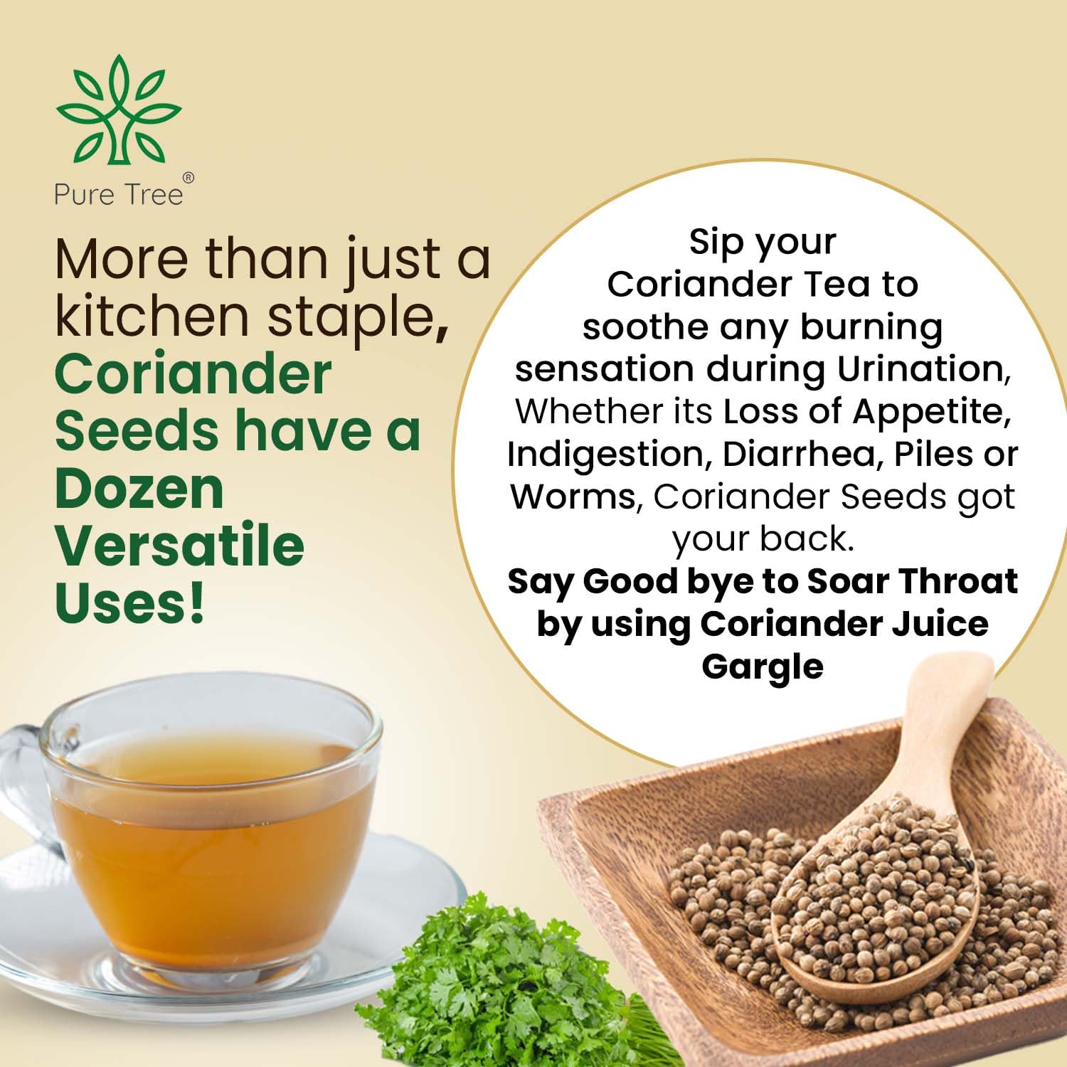 Coriander Seeds