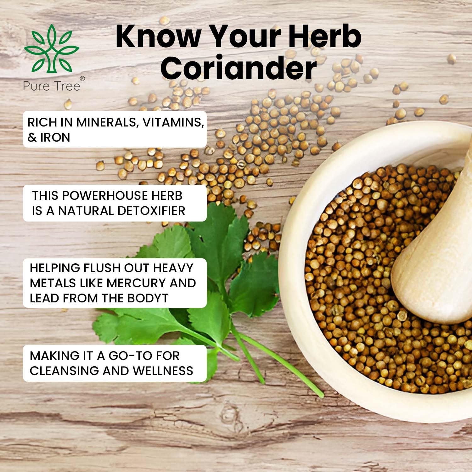 Coriander Seeds