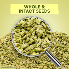 Fennel Seeds Bottle 100 gm